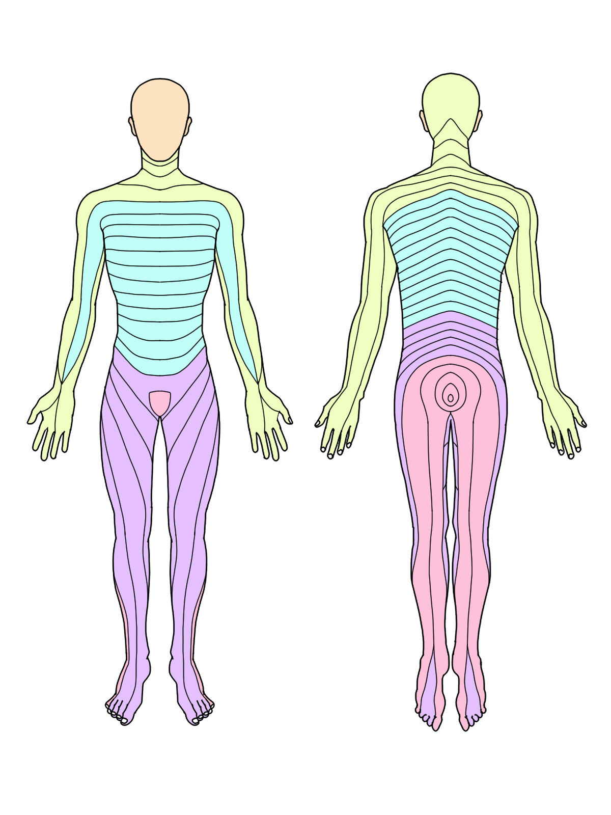 神経イメージ｜下肢末端の感覚障害で悩まれている方へ
