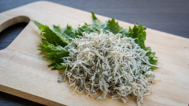 しらす写真｜慢性痛にはある栄養素が必要！？