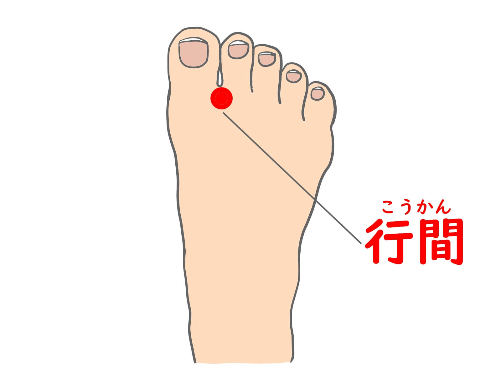 ツボ（行間）｜不眠症に対する東洋医学的視点