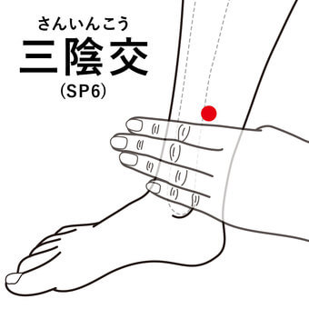 ツボ（三陰交）｜不眠症に対する東洋医学的視点