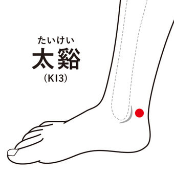 ツボ（太谿）｜不眠症に対する東洋医学的視点